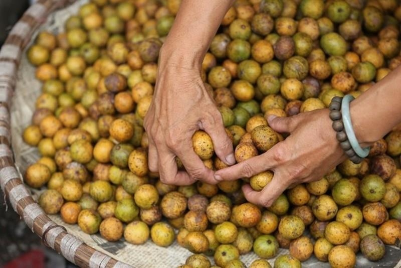 Sấu chín giá cao, chị em vẫn tìm mua